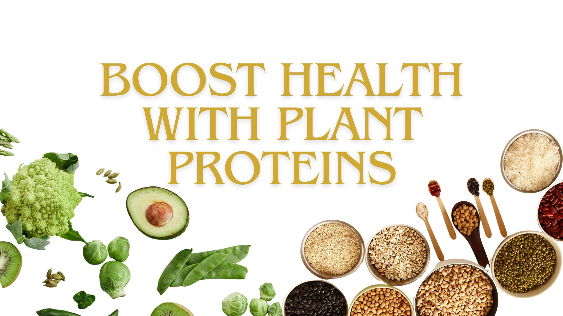 plant proteins
