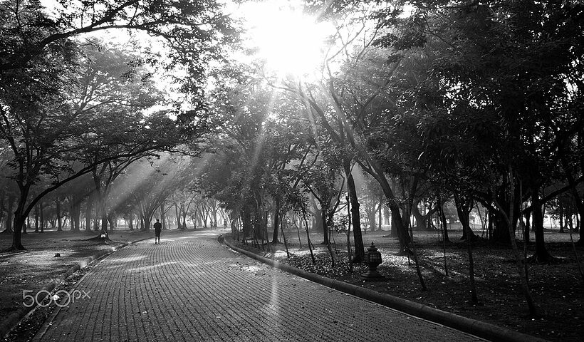 Person walking through a park in the morning sunlight