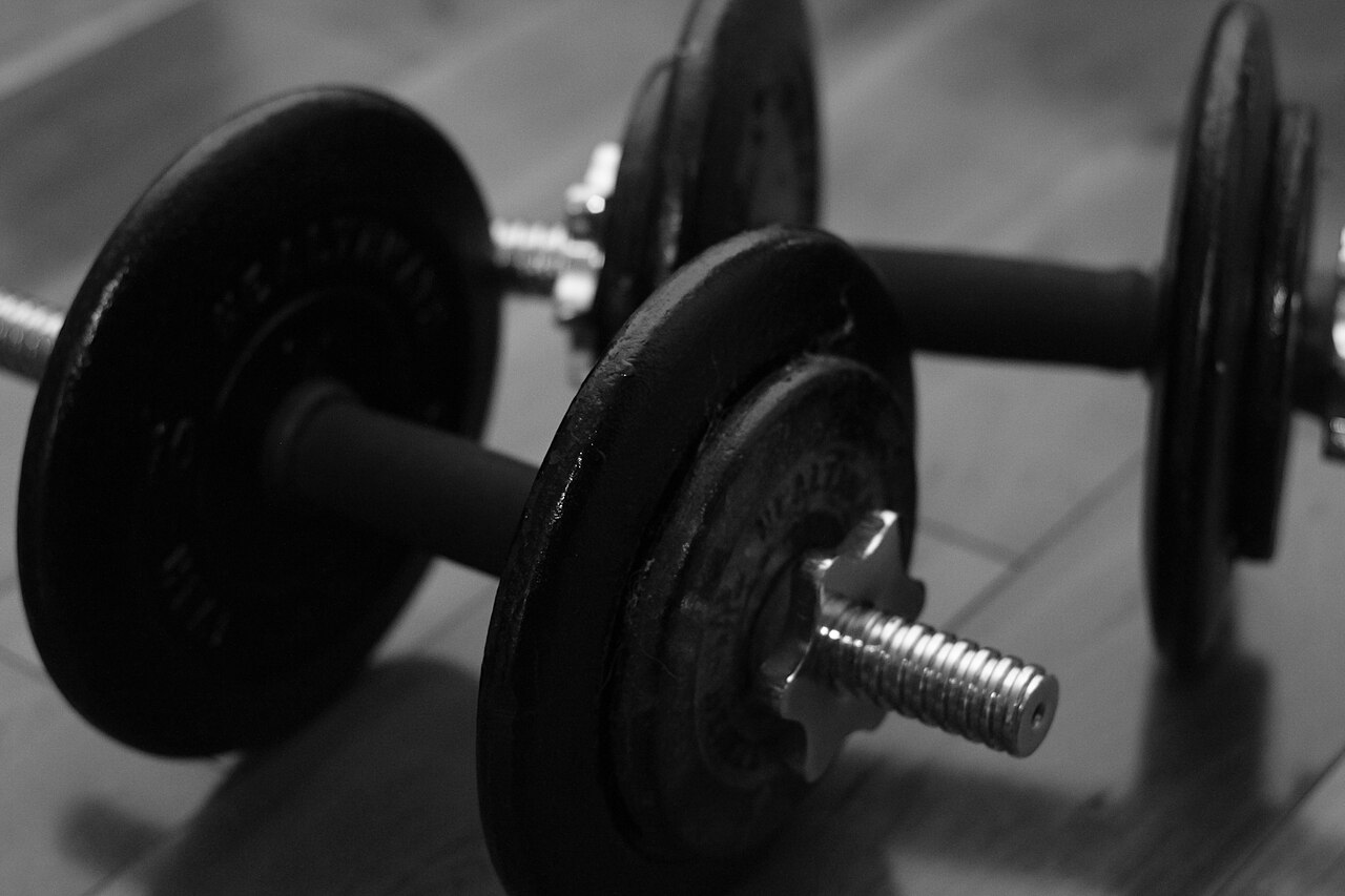 Black dumbbells arranged on the floor for a strength-training workout